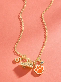 Clemson University Cluster Charm - Clemson University
