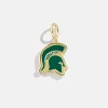 Michigan State Cluster Charm - Michigan State University