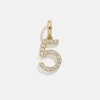 Pavé Number Cluster Charm - 5