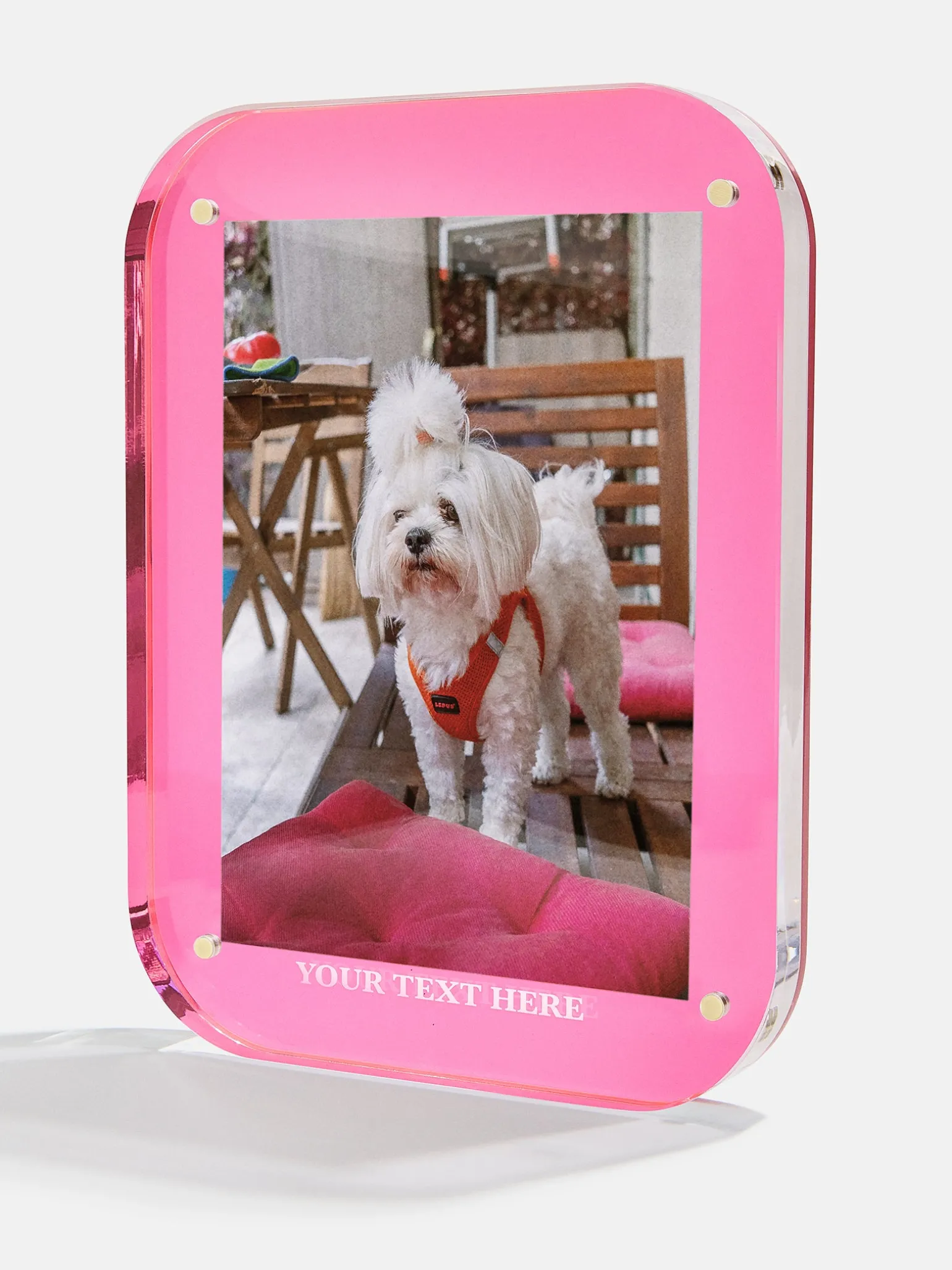 Picture Perfect Vertical Acrylic Frame - Rectangle Shape