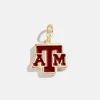 Texas A&M University Cluster Charm - Texas A&M University