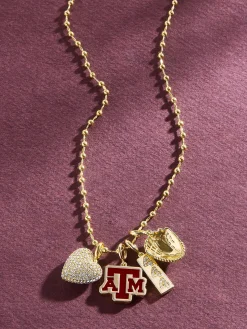 Texas A&M University Cluster Charm - Texas A&M University
