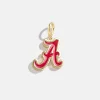 University of Alabama Cluster Charm - University of Alabama