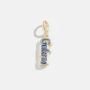 University of Florida Cluster Charm - University of Florida