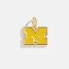 University of Michigan Cluster Charm - University of Michigan