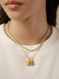 University of Michigan Cluster Charm - University of Michigan
