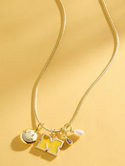 University of Michigan Cluster Charm - University of Michigan