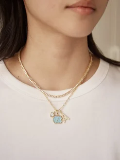 University of North Carolina Cluster Charm - University of North Carolina