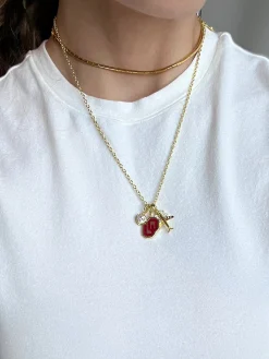 University of Oklahoma Cluster Charm - University of Oklahoma