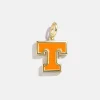 University of Tennessee Cluster Charm - University of Tennessee